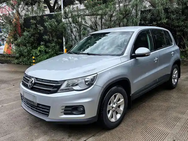 Volkswagen Tiguan 2010