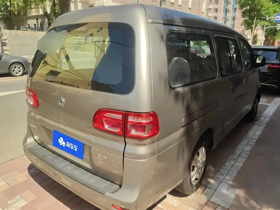 Fengxing Lingzhi 2020