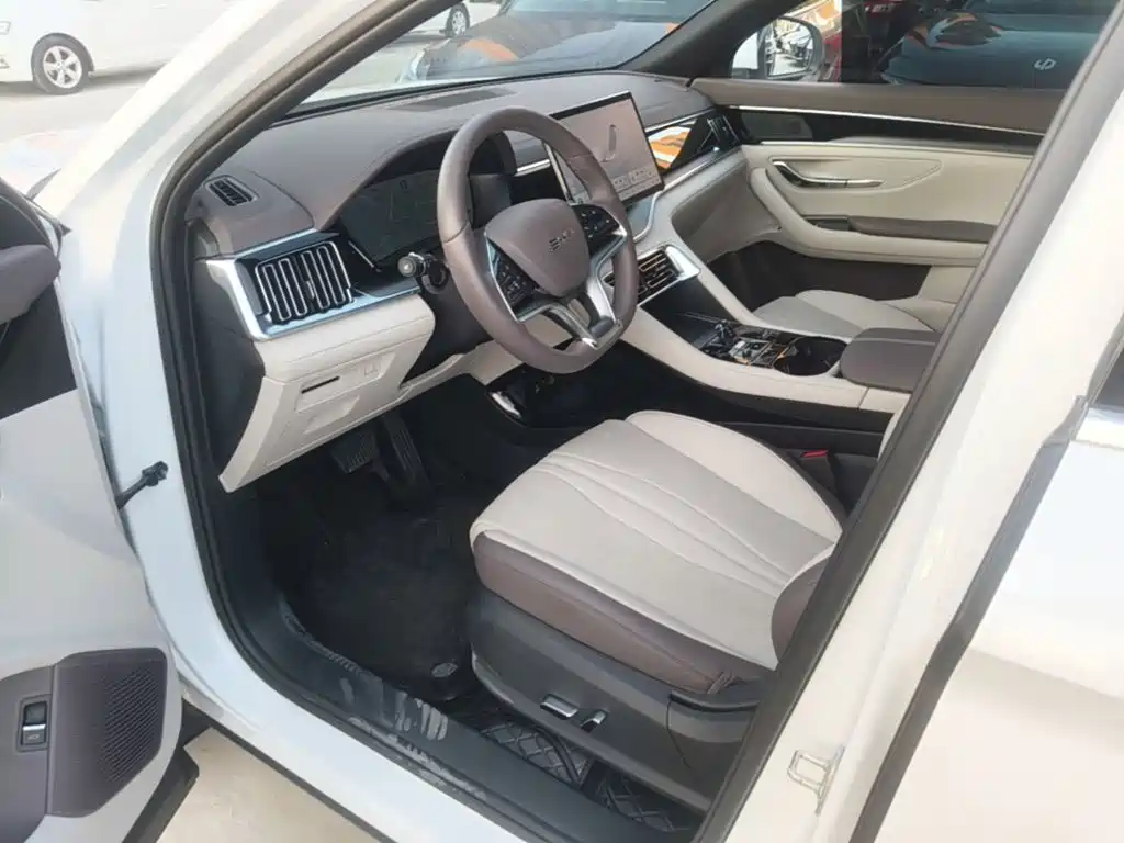 BYD Song PLUS New Energy 2025 — фото 16
