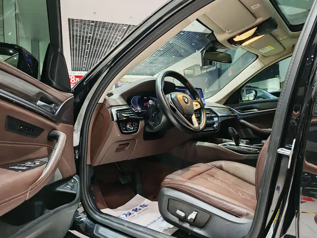 BMW 5 Series New Energy 2021
