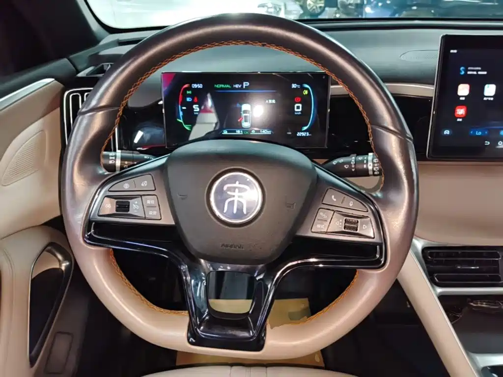 BYD Song Pro New Energy 2024 — фото 11