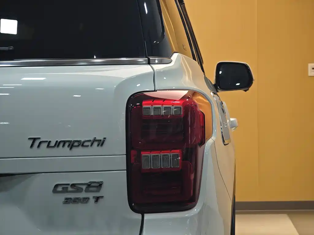 GAC Motor Trumpchi GS8 2020 — фото 27