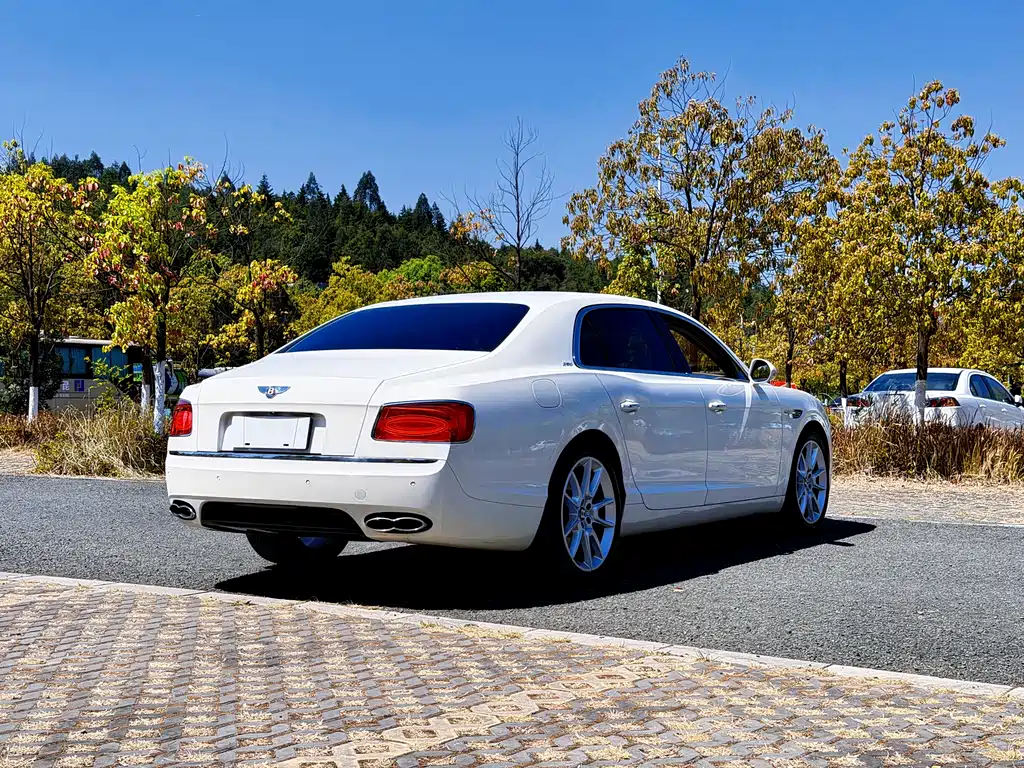 Bentley Flying Spur 2020 — фото 21