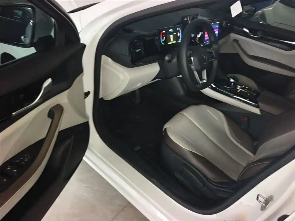 BYD Qin PLUS 2023 — фото 16