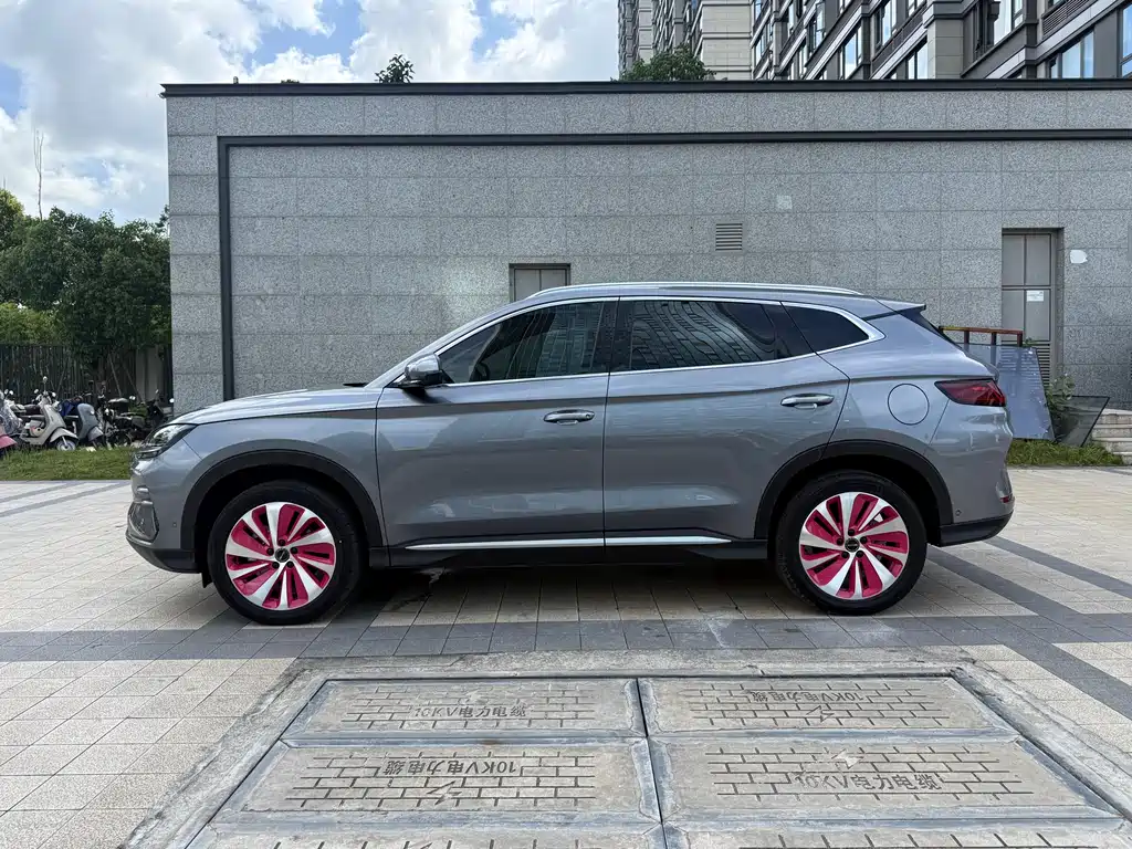BYD PLUS New Energy 2024 — фото 18