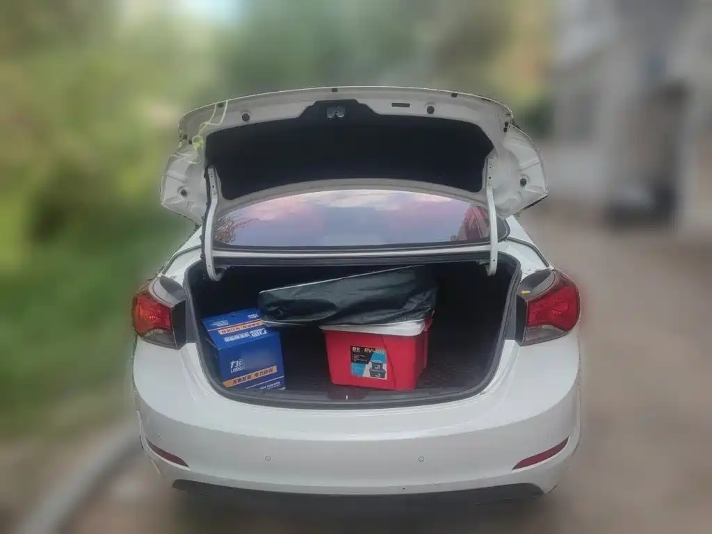 Hyundai Elantra 2016 — фото 15