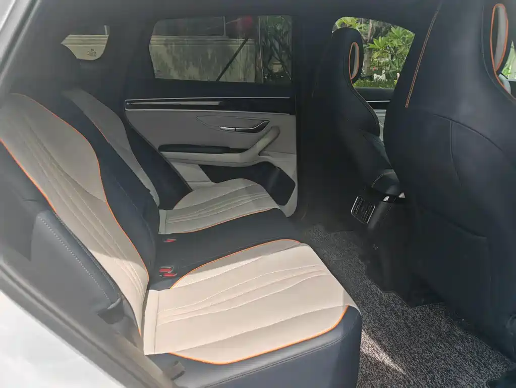 BYD Song PLUS New Energy 2022 — фото 13