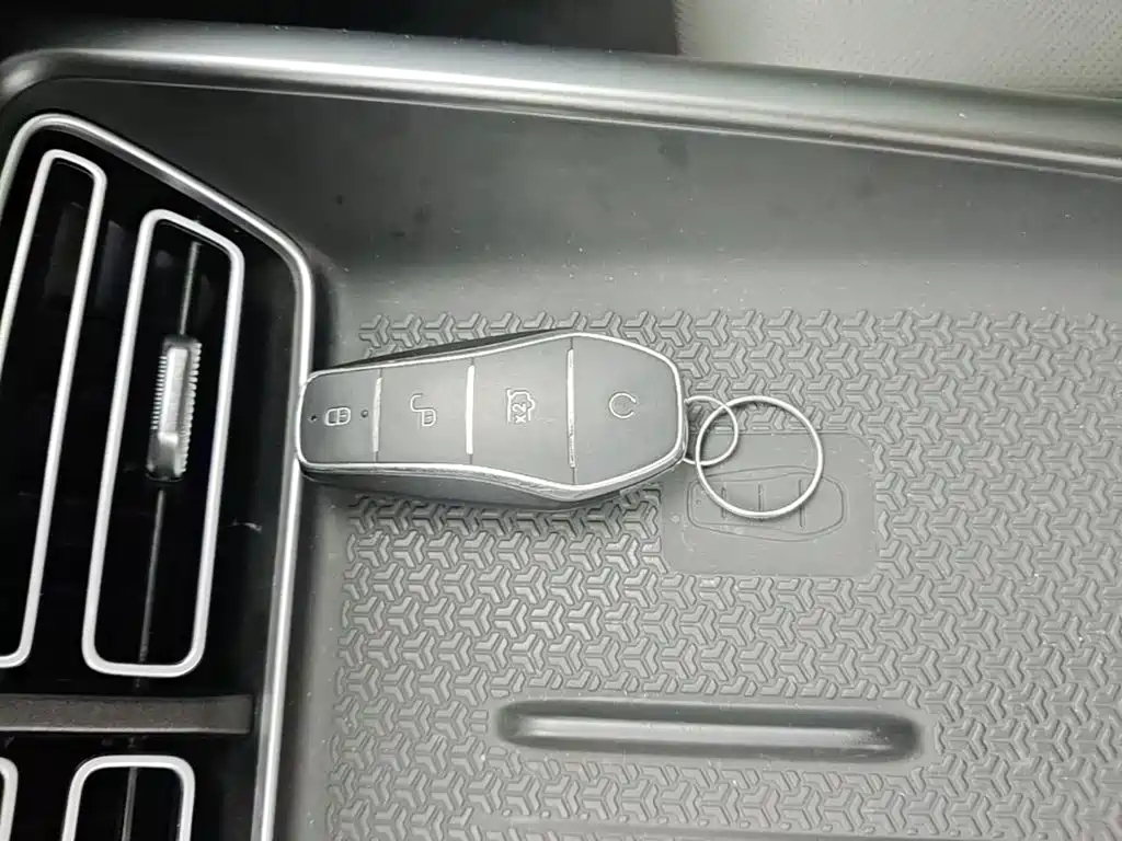 BYD Song Pro New Energy 2025 — фото 9
