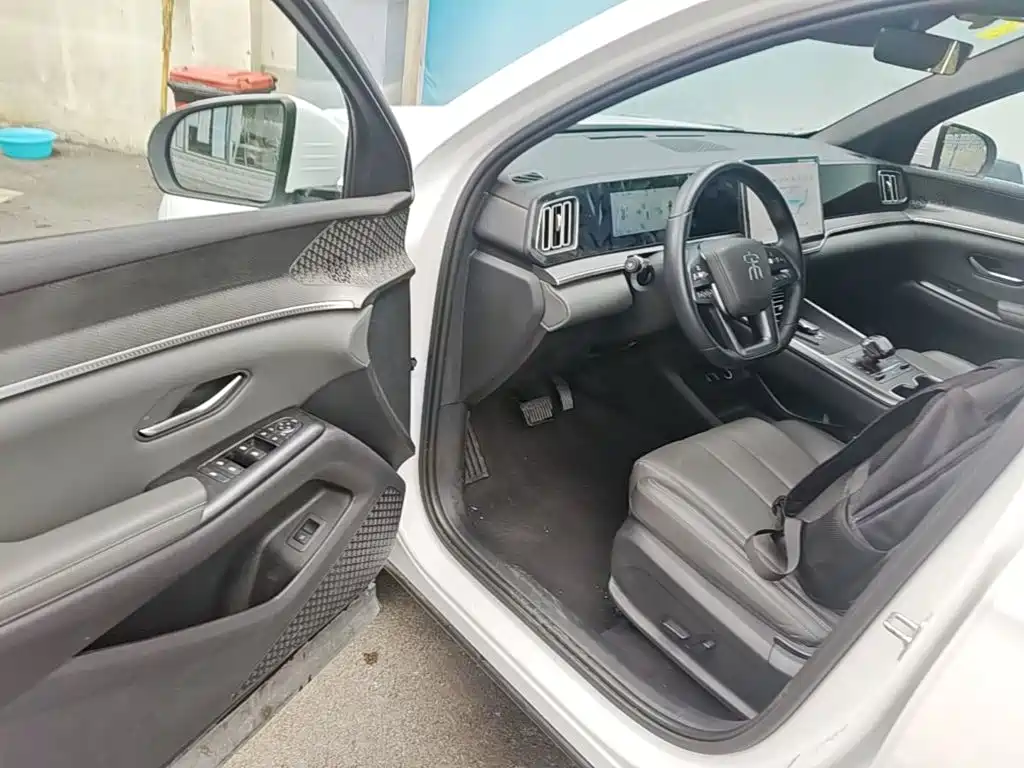 BYD Song Pro New Energy 2025 — фото 16