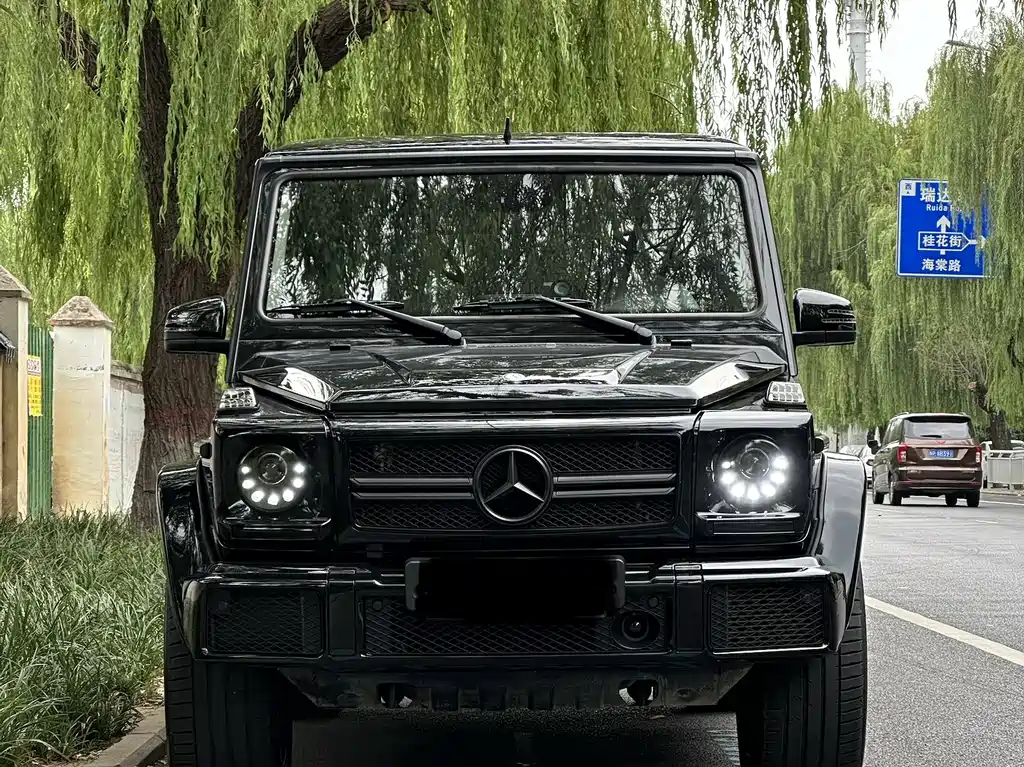 Mercedes-Benz G-Class 2016 — фото 2