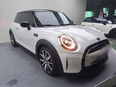 MINI MINI 2024