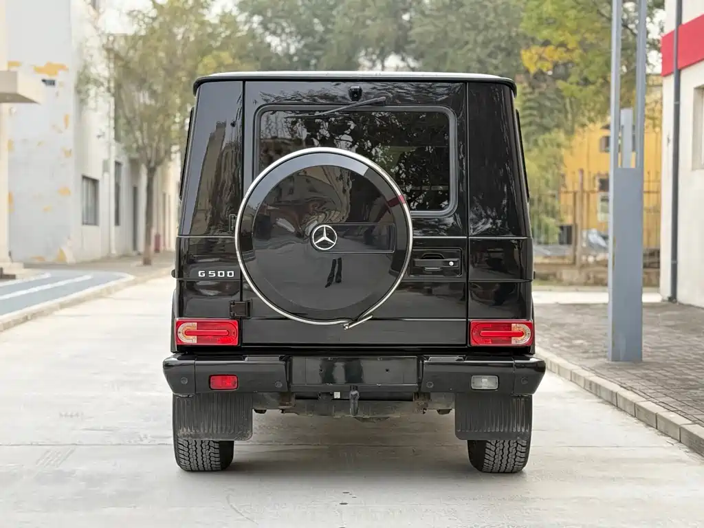 Mercedes-Benz G-Class 2011 — фото 5