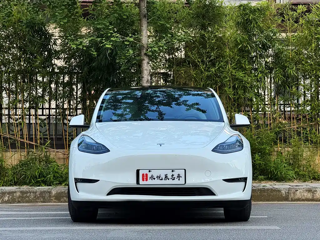 Tesla Model Y 2022 — фото 2