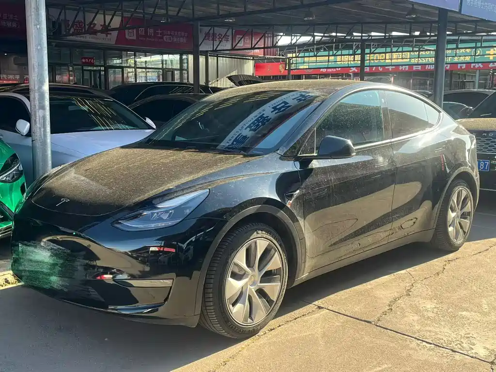 Tesla Model Y 2021 — фото 1