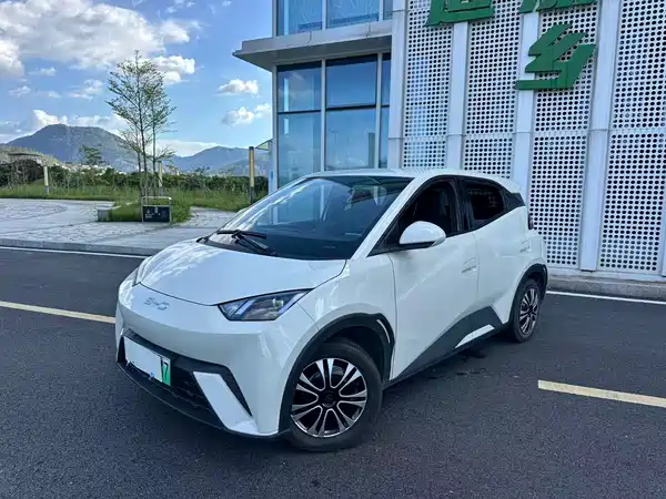 BYD Seagull 2024