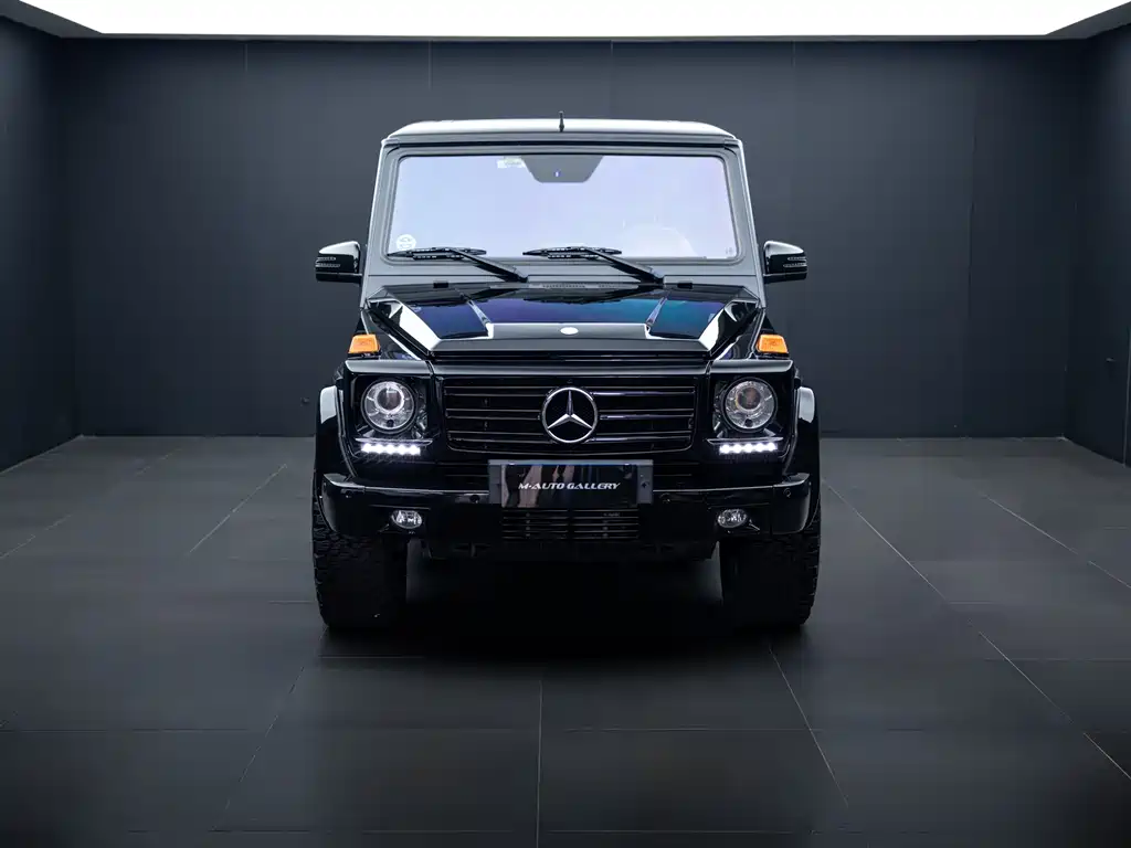Mercedes-Benz G-Class 2016 — фото 3