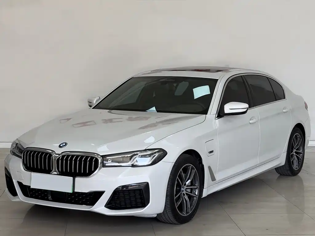 BMW 5 Series New Energy 2022 — фото 1