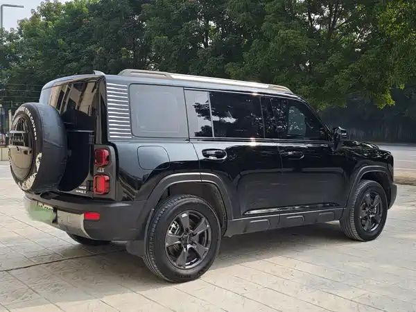 Haval Raptors New Energy 2024