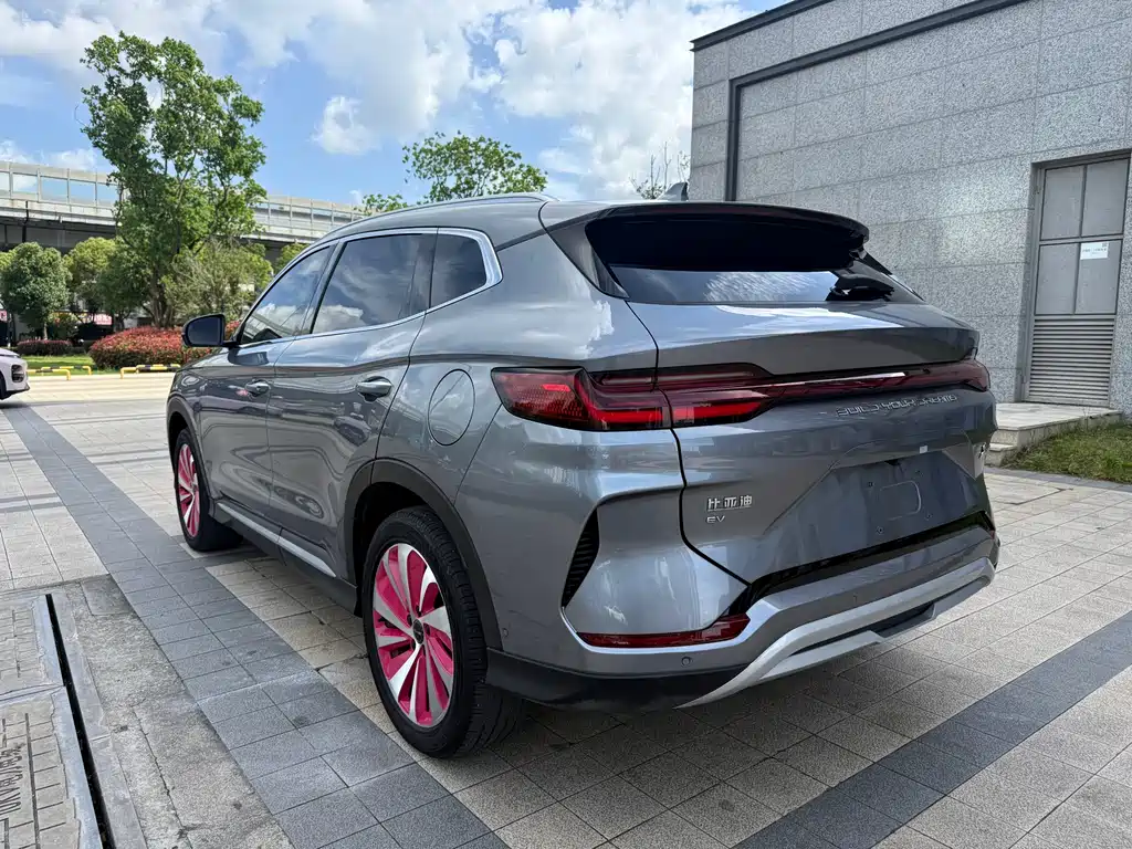 BYD PLUS New Energy 2024 — фото 17