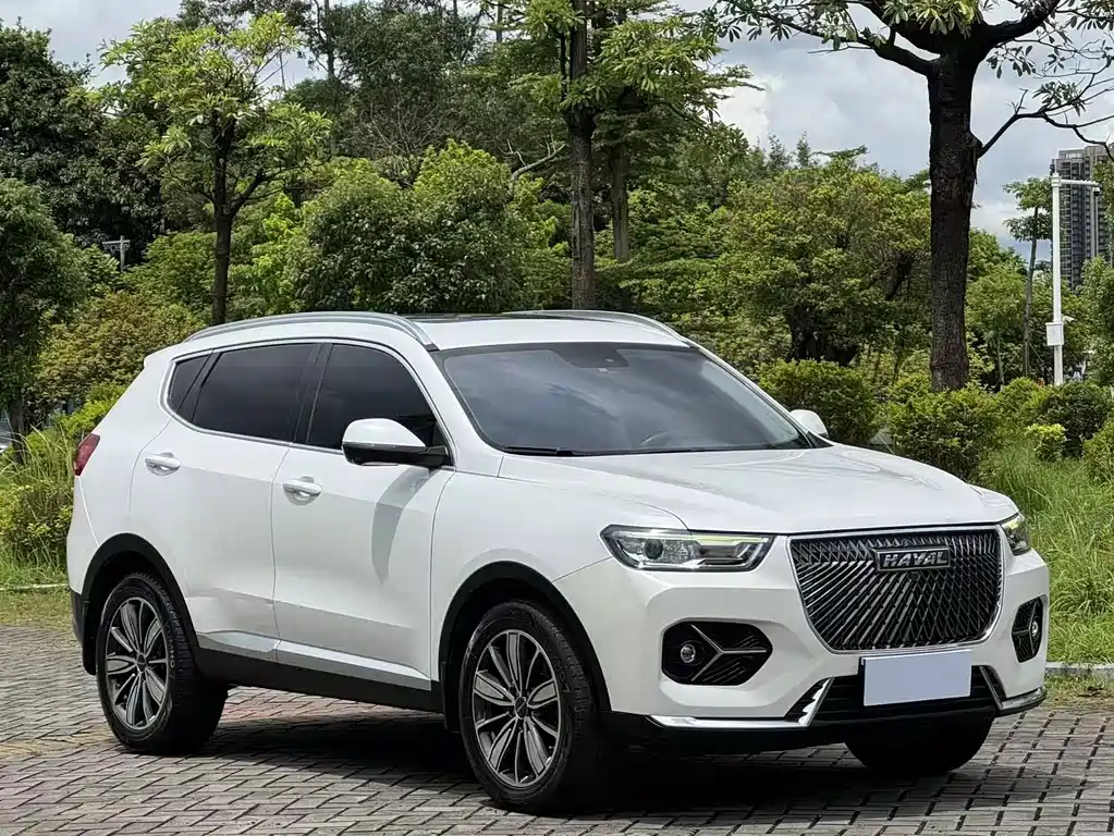 Haval H6 2021 — фото 3