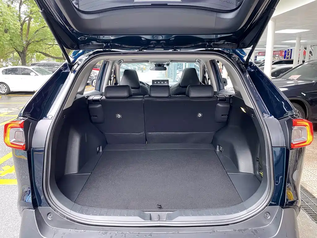 Toyota Wildlander 2020 — фото 10