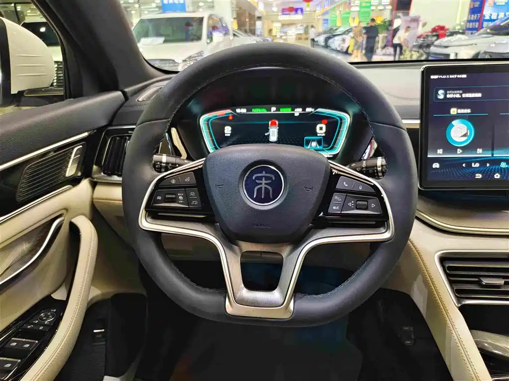 BYD Song PLUS New Energy 2023 — фото 12