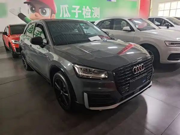Audi Q2L 2020
