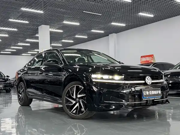 Volkswagen Magotan 2024