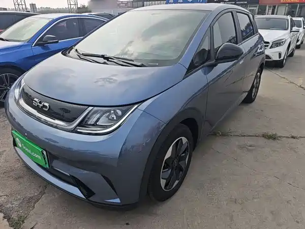 BYD Dolphin 2025