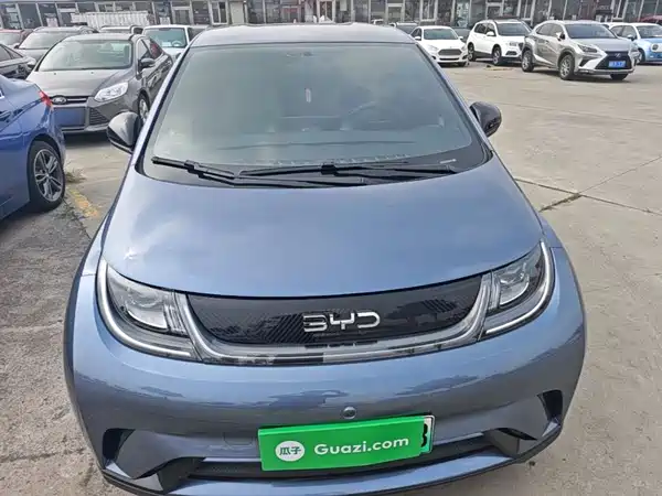 BYD Dolphin 2025