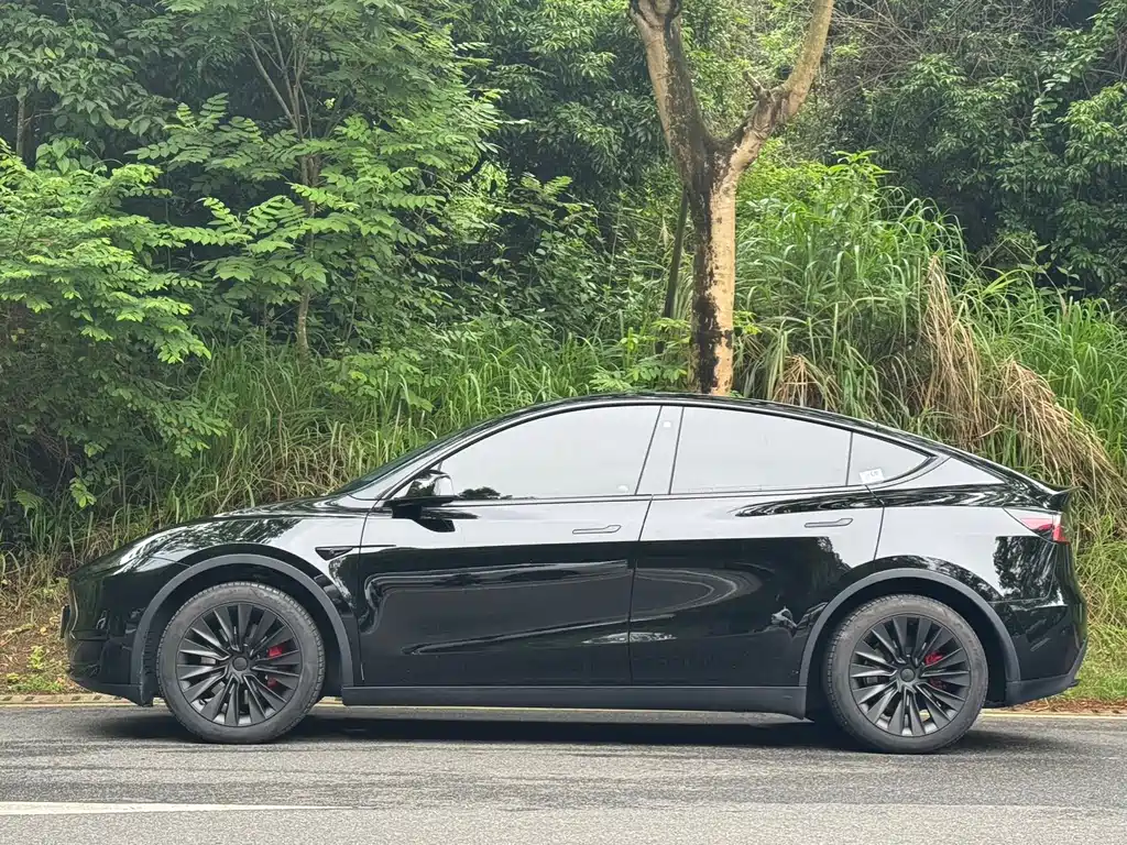 Tesla Model Y 2023 — фото 2