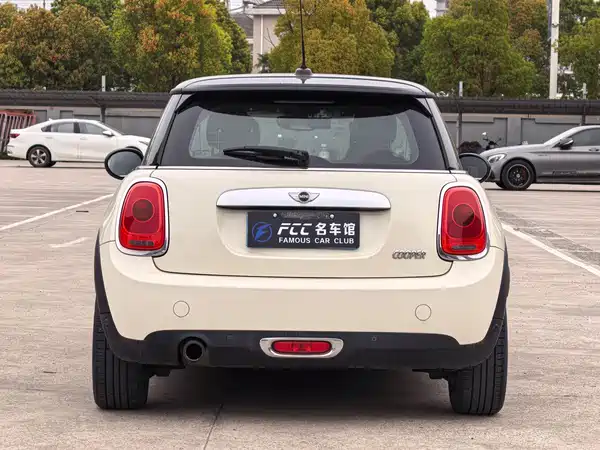 MINI MINI 2015