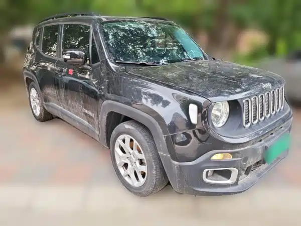 Jeep Freeman 2017