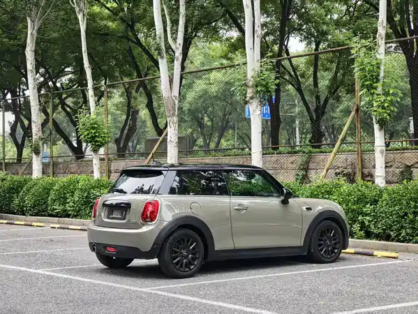 MINI 2019