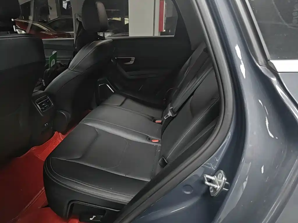 BYD Pro New Energy 2020 — фото 17