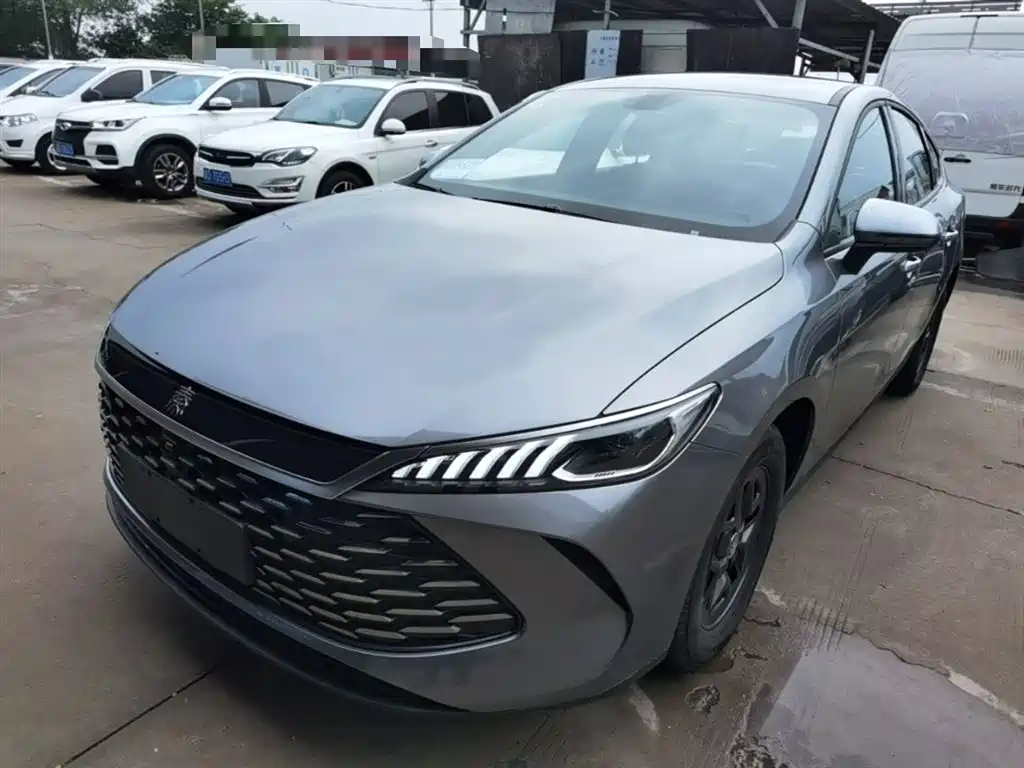 BYD Qin PLUS 2025 — фото 1