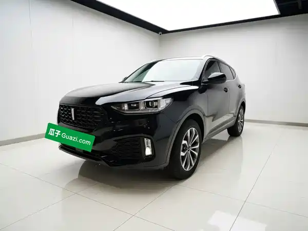 Wey VV6 2019