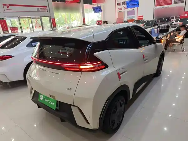 BYD Seagull 2024