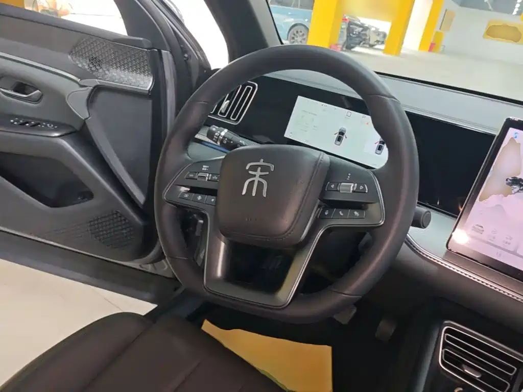 BYD Song Pro New Energy 2025 — фото 11