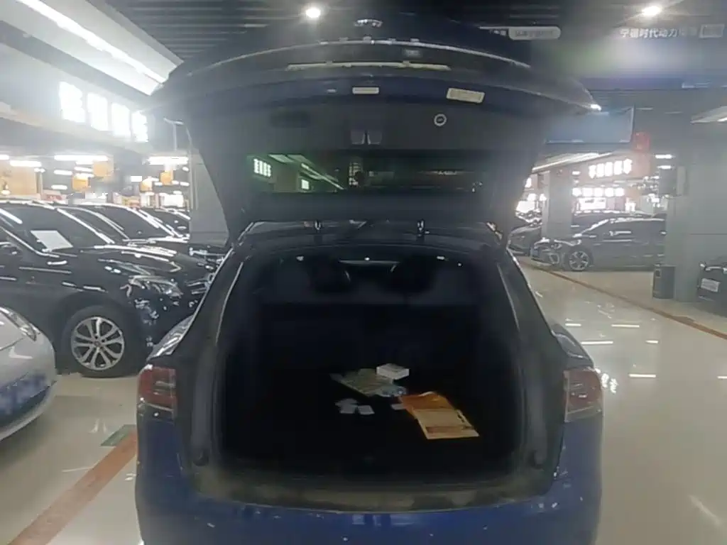 Tesla Model X 2020 — фото 19