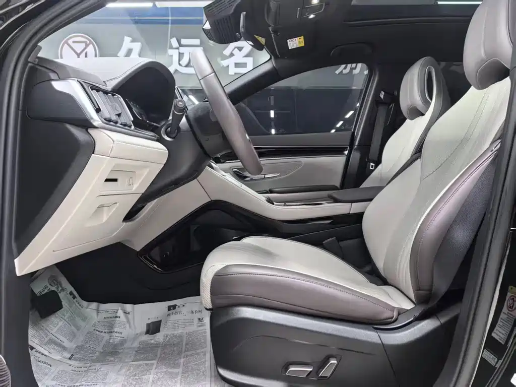 BYD Song PLUS New Energy 2024 — фото 8