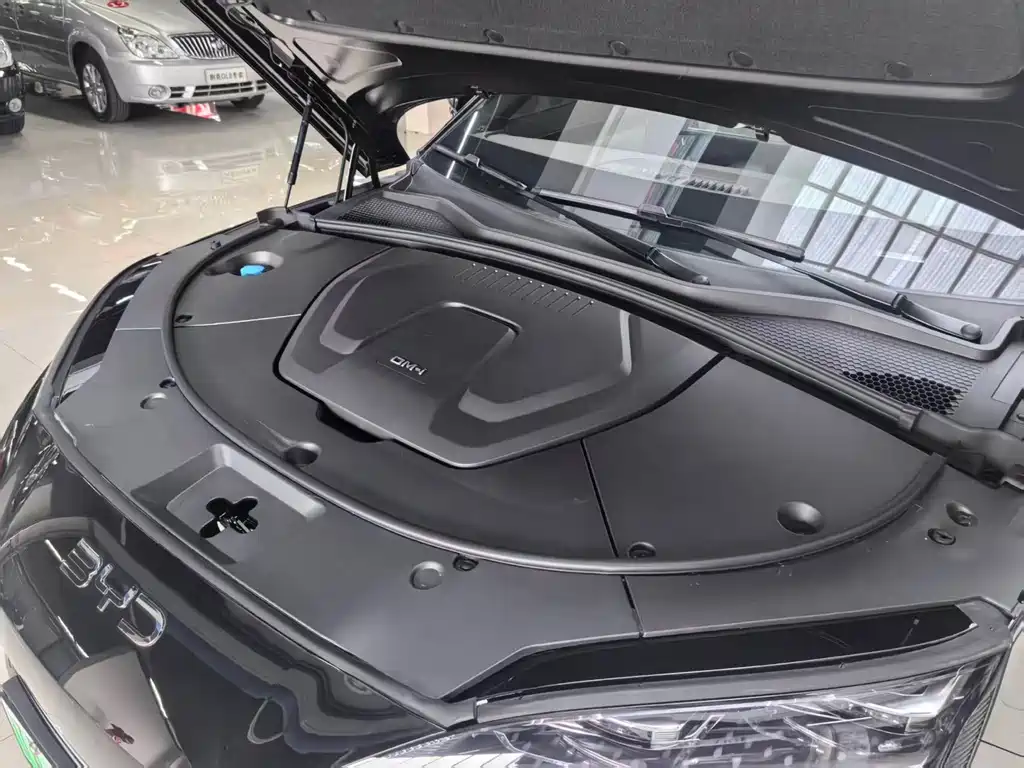 BYD Song PLUS New Energy 2024 — фото 21