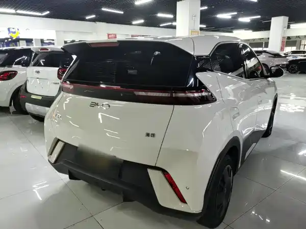 BYD Seagull 2024