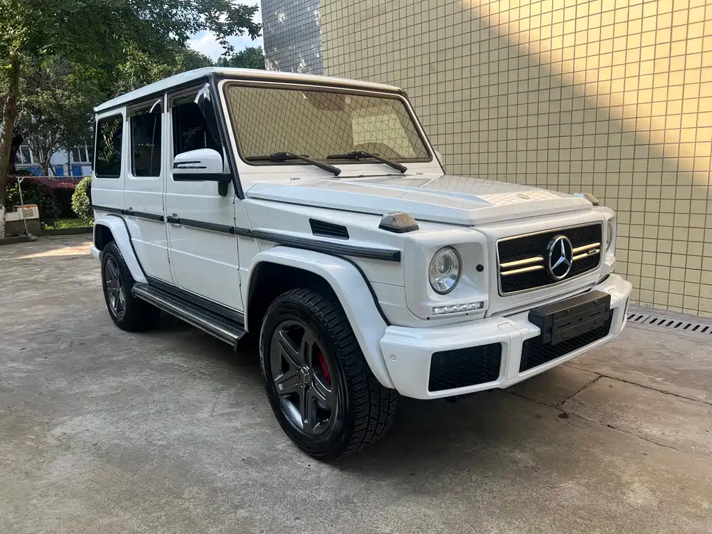 Mercedes-Benz G-Class 2016 — фото 3