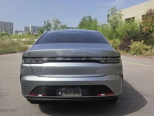 BYD Destroyer 05 2024