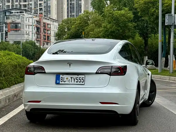 Tesla Model 3 2020