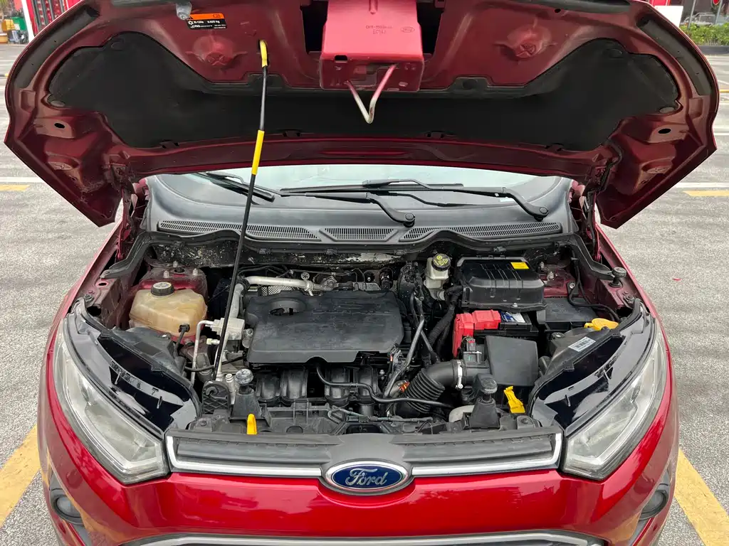 Ford Ecosport 2013 — фото 20