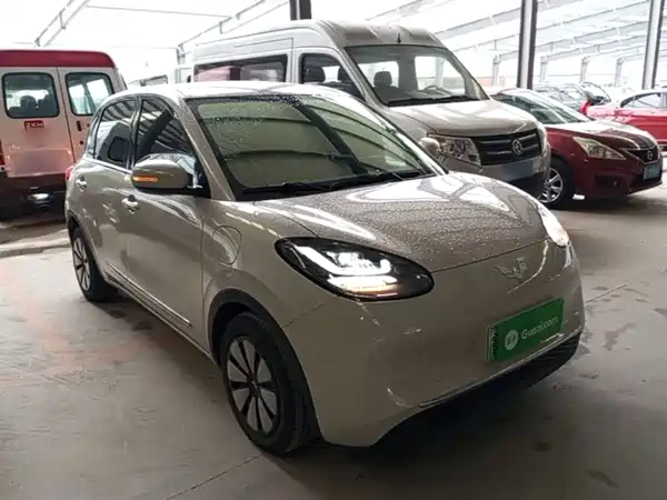 Wuling Bingo 2024