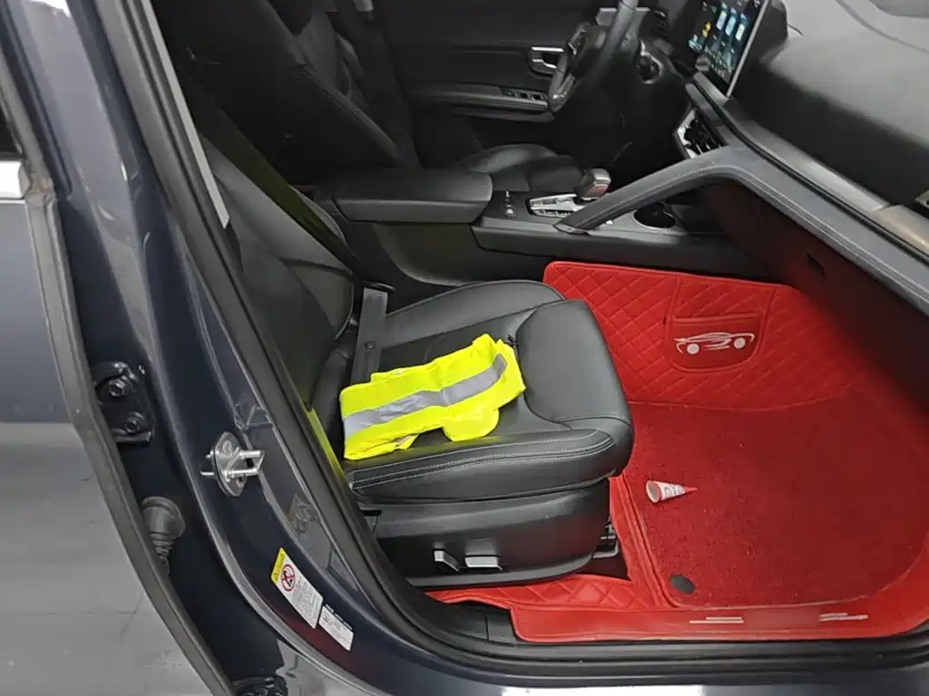 BYD Pro New Energy 2020 — фото 25