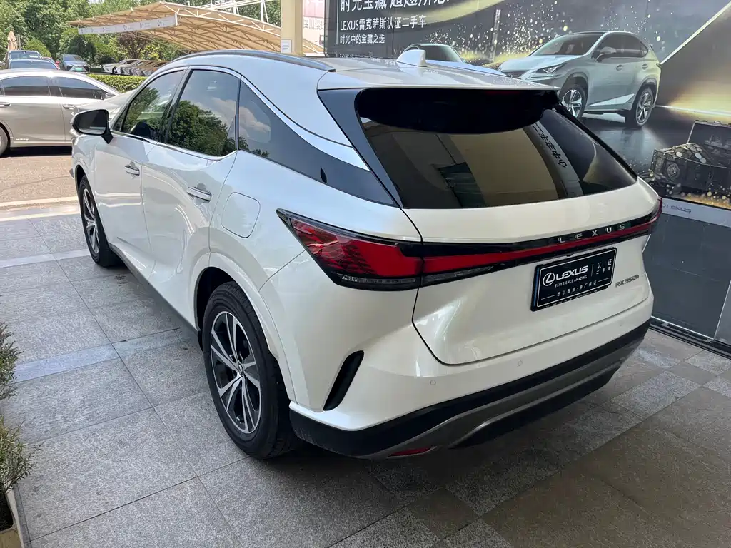 Lexus RX 2024 — фото 5